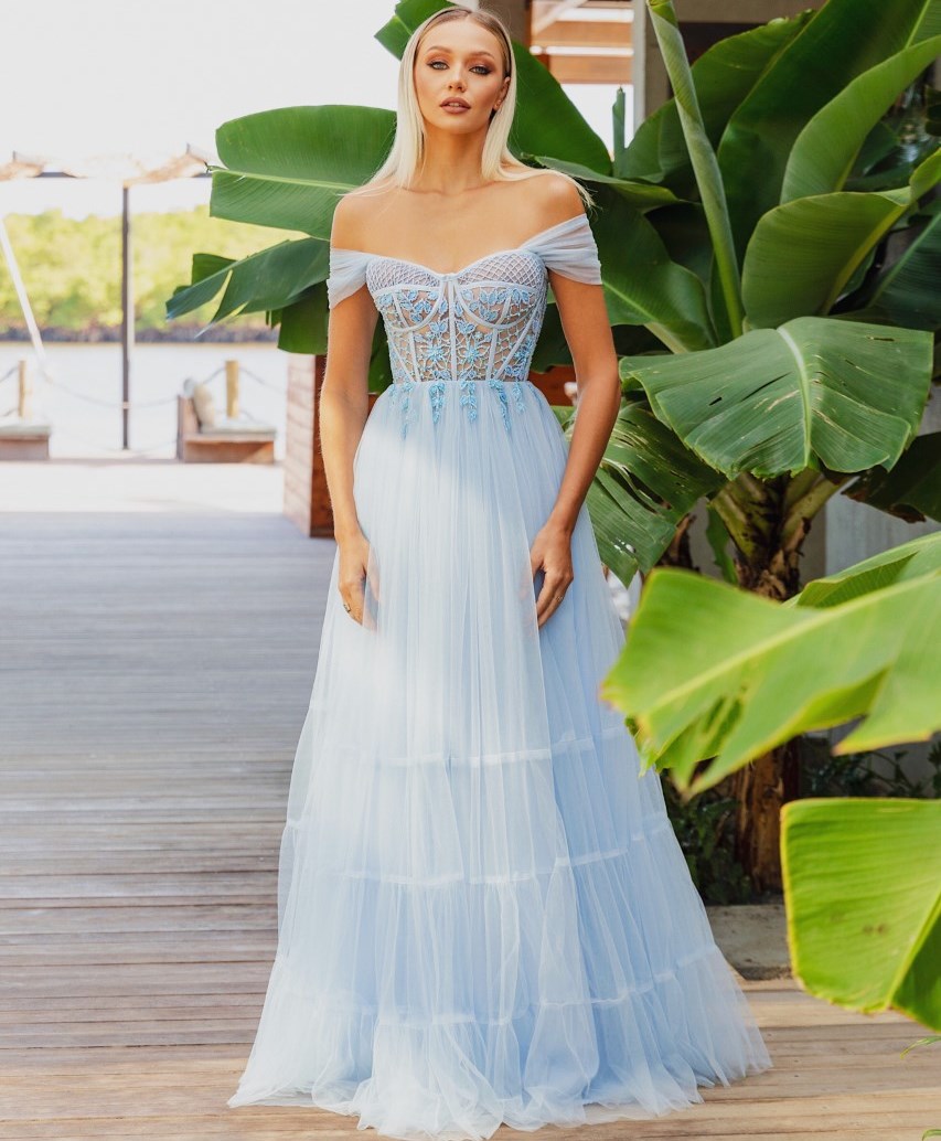 Vestidos alugados 2025