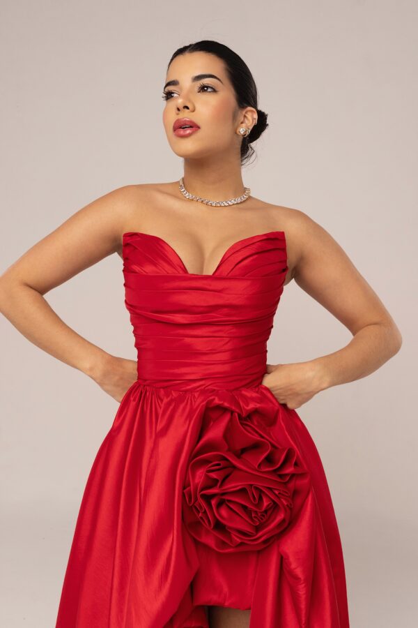 Vestido Eduarda - Image 2